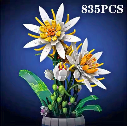 Epiphyllum Bonsai Set 835PCS